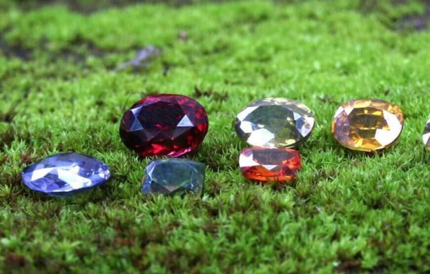 GEM TOURS OF SRI LANKA