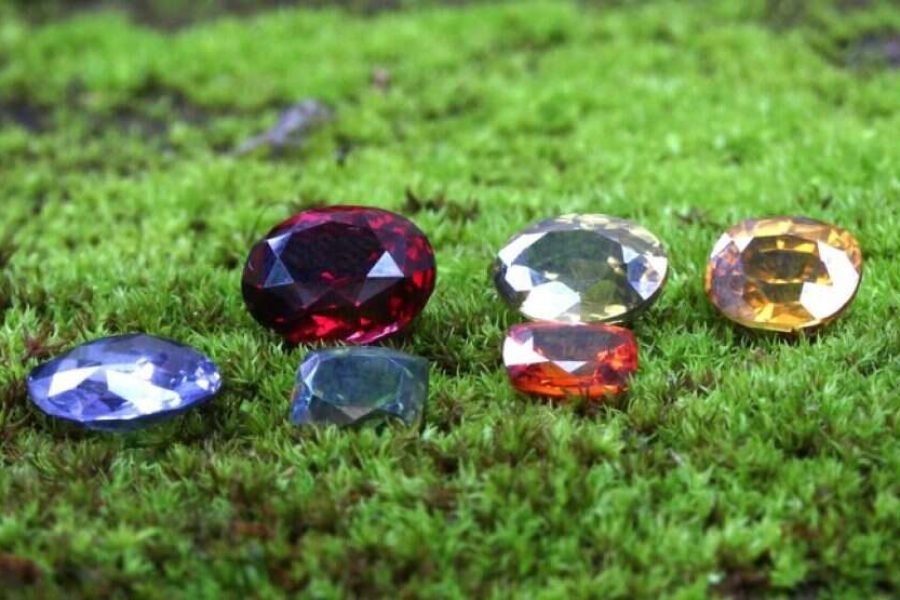 GEM TOURS OF SRI LANKA