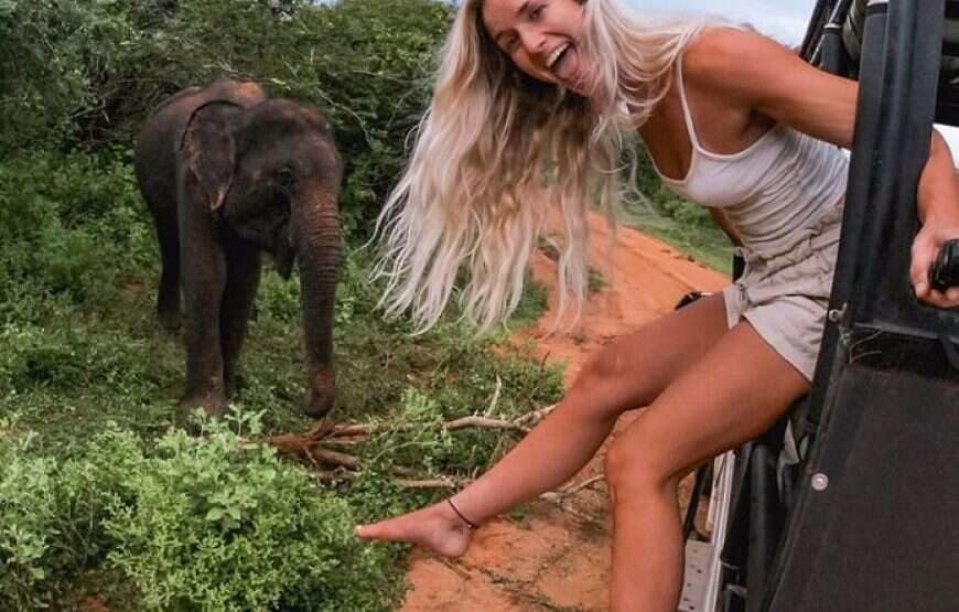 7 Hours Safari Tours – Yala National Park