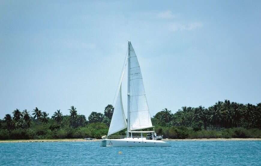 3 NIGHTS BEST OF THE SOUTH CRUISE