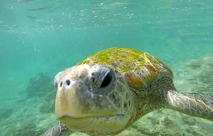 Sri Lanka UNESCO Highlights Tour