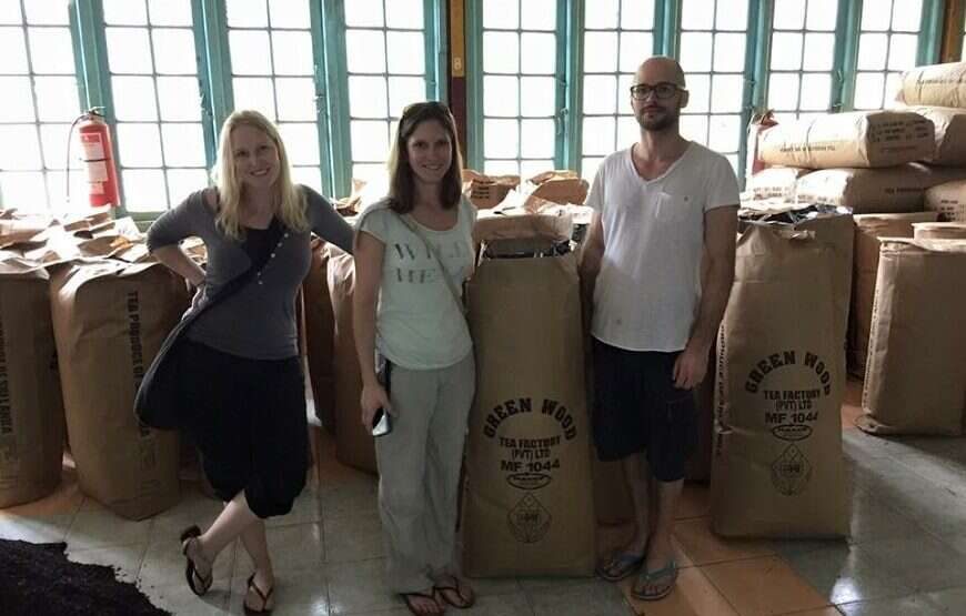 Greenwood Tea Factory Tour