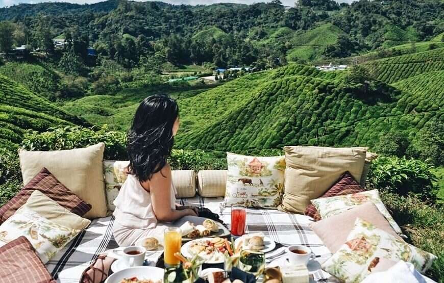 Greenwood Tea Factory Tour