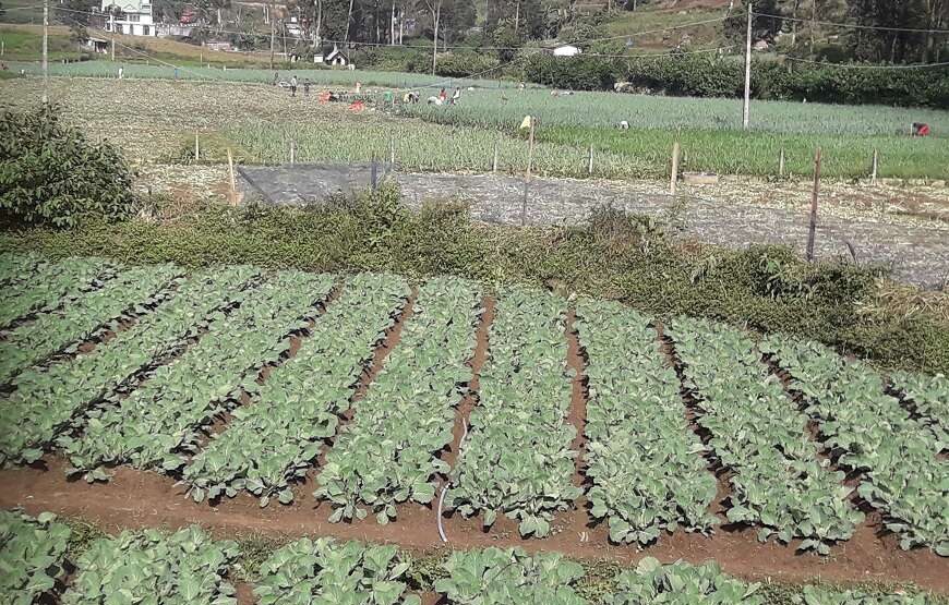 Gs Cycling – 5 Day Tour