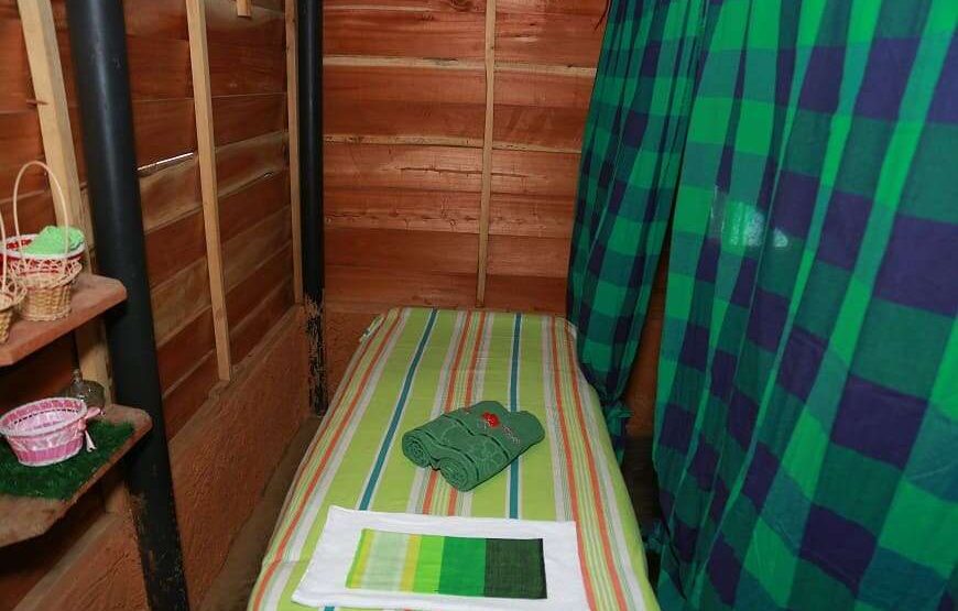 Ayurvedic Spa Treatments