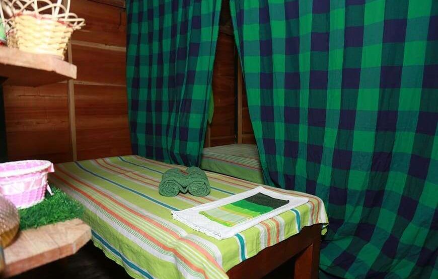 Ayurvedic Spa Treatments