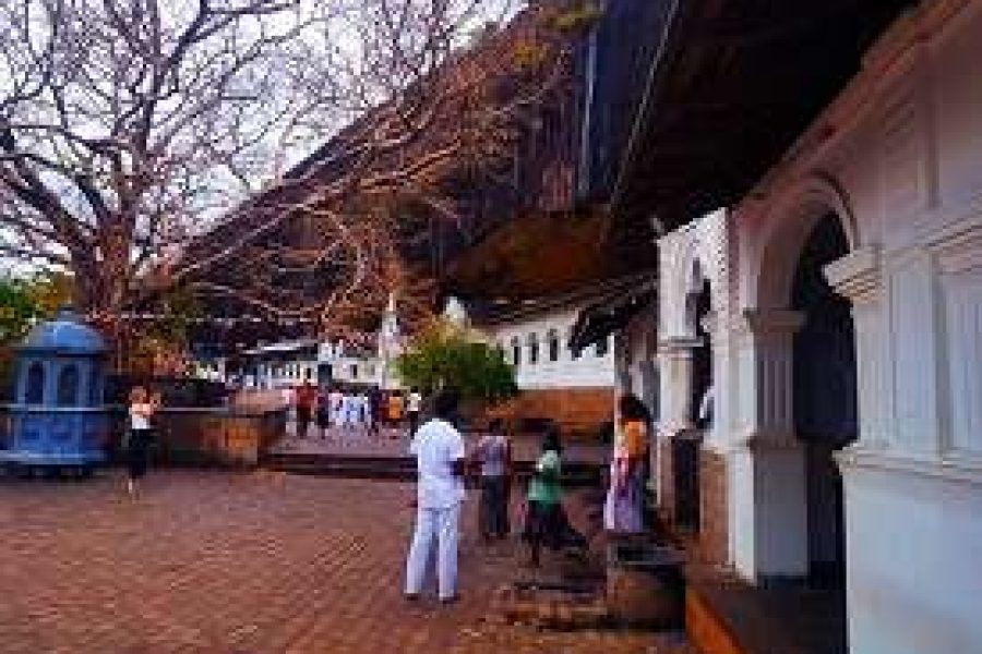 Best of Sri Lanka Tour – 7 Days