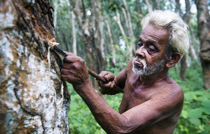 Day at a Traditional Sri lankan village