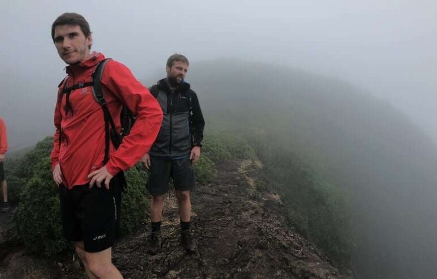 Day Hiking Tour in High Knuckles Mountains Range