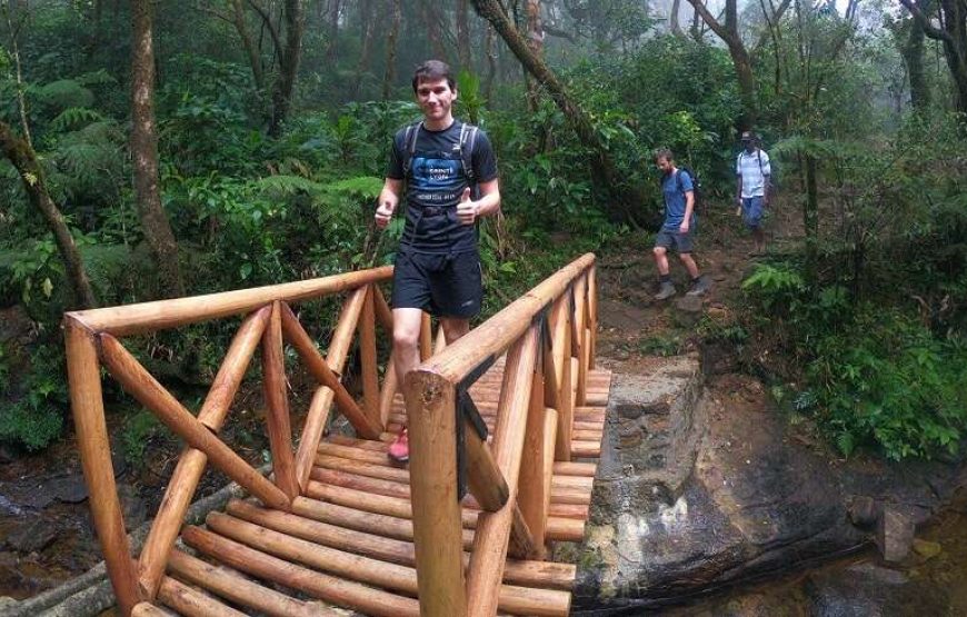 Day Hiking Tour in High Knuckles Mountains Range