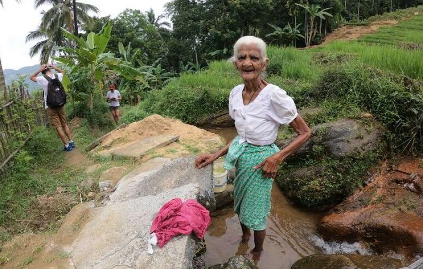Day Trekking  in Knuckles Mountains Base Trek