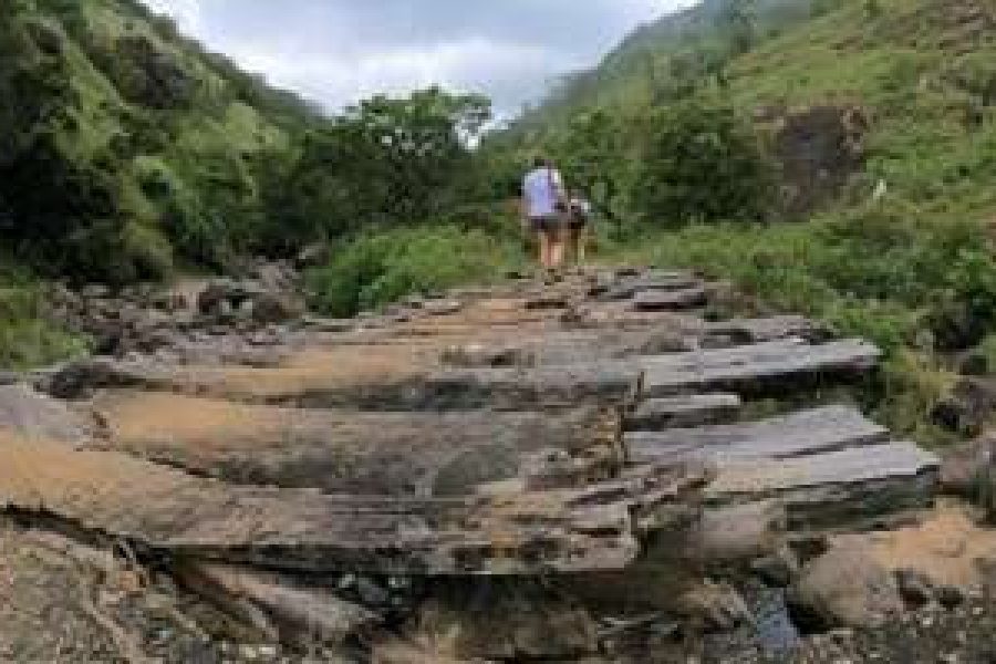 Day Trekking  in Knuckles Mountains Base Trek