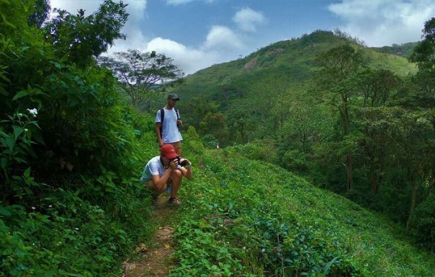 Day Trekking  in Knuckles Mountains Base Trek