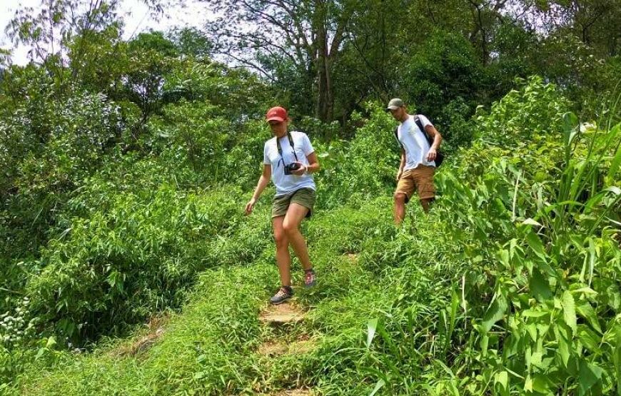 Day Trekking  in Knuckles Mountains Base Trek