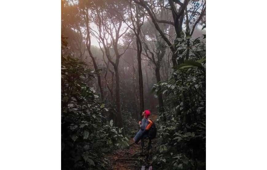 Trekking & Camping in Knuckles Mountain Range