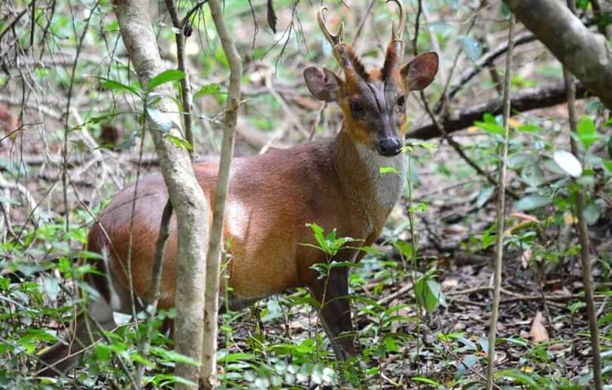 Trekking & Camping in Knuckles Mountain Range