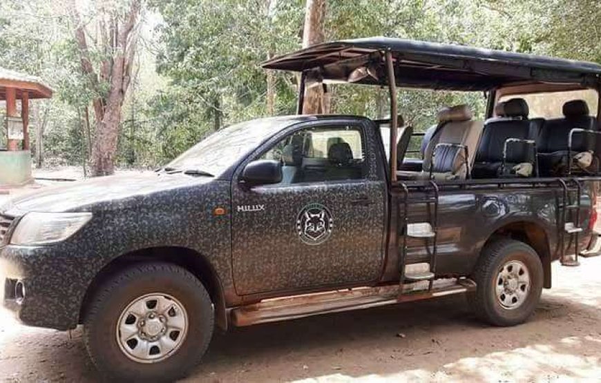 Foxtrail Wilpattu Safari – 5 Hours