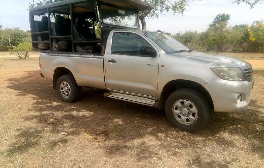 Wildlife Safari Tour