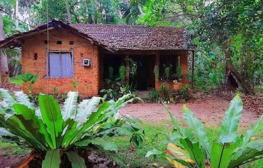 Day at a Traditional Sri lankan village