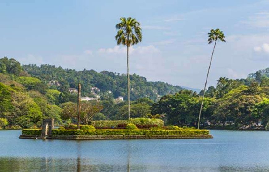 Kandy Day Tour
