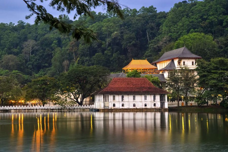 Kandy Day Tour