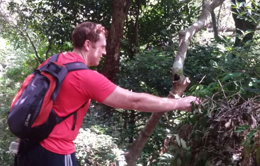 Knuckles one day Trekking