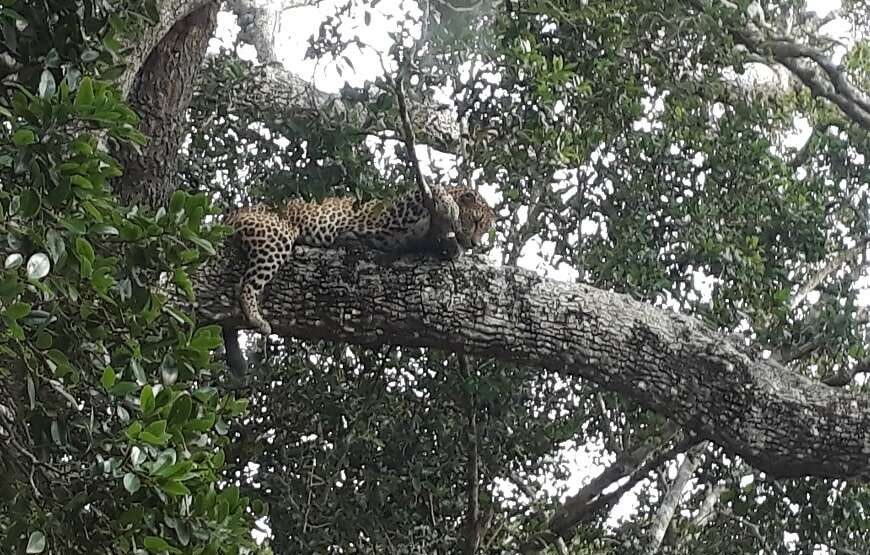 MULTI DAY TOUR – 7 DAYS