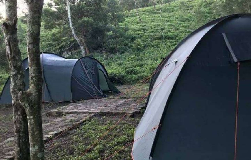 Hanthana Camping Experience