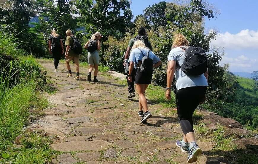 1 Night Camping and 2 Days Hiking tour