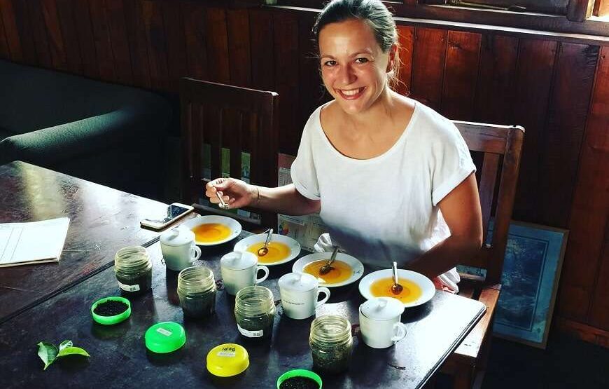 Greenwood Tea Factory Tour