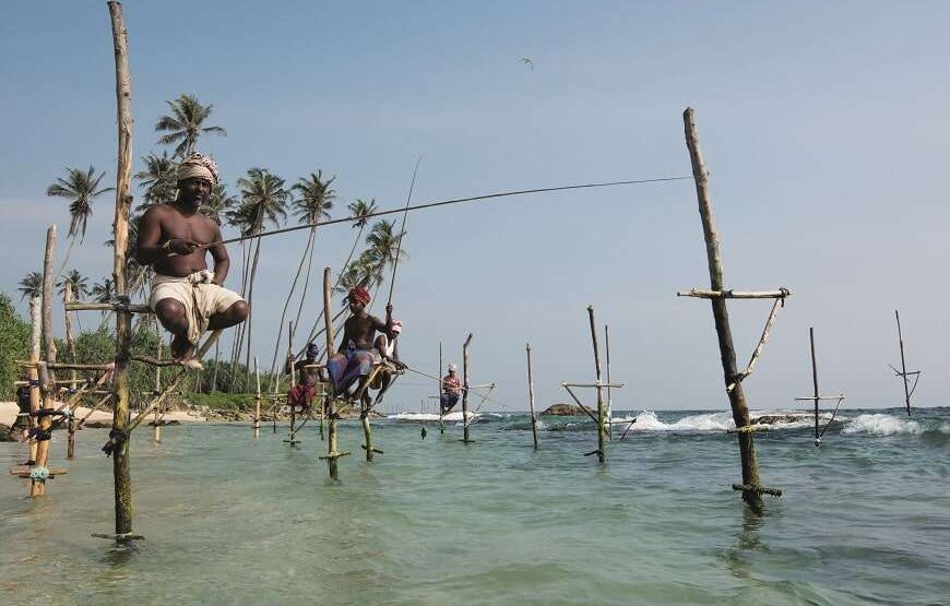 2 NIGHTS WELIGAMA WHALE CRUISE