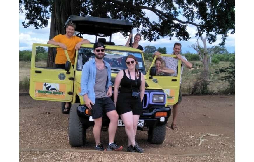 Amazing Safari (Chill House Safari Resort)