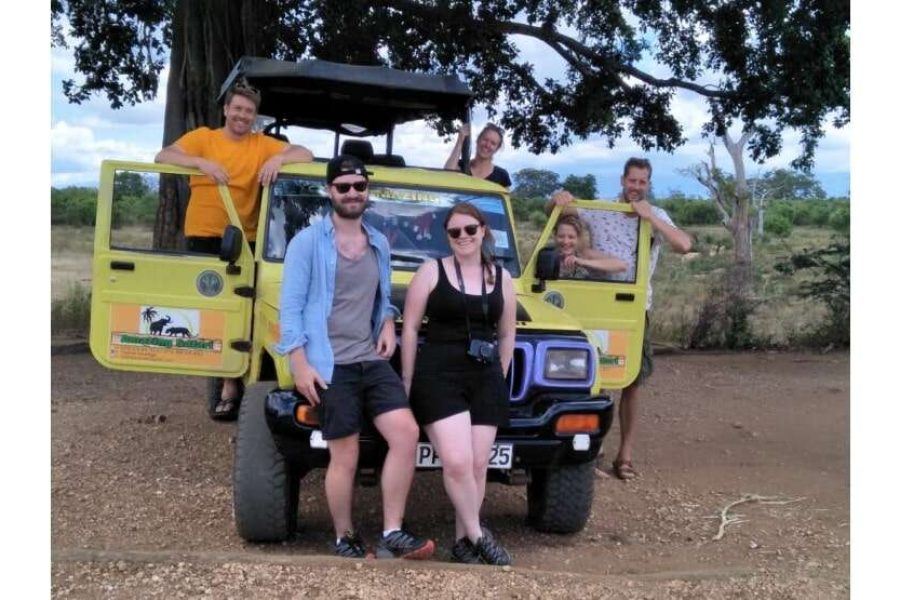 Amazing Safari (Chill House Safari Resort)