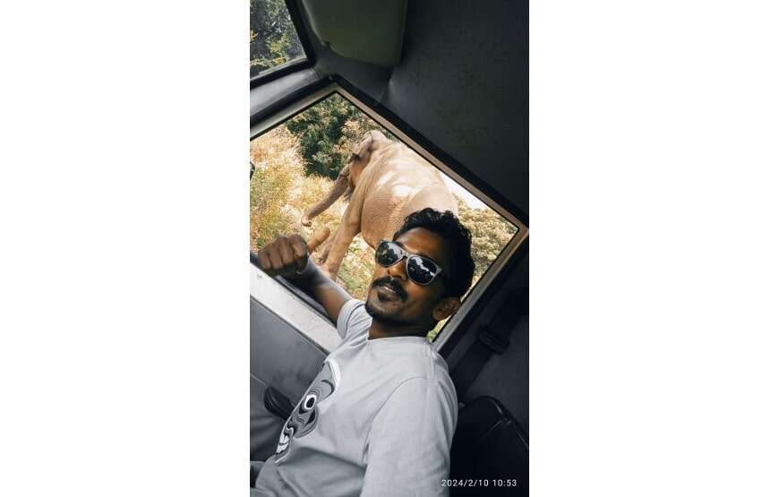 Amazing Safari (Chill House Safari Resort)