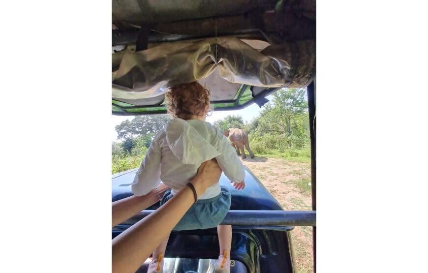 Amazing Safari (Chill House Safari Resort)