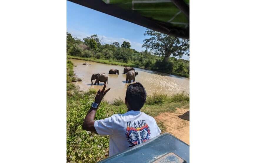 Amazing Safari (Chill House Safari Resort)