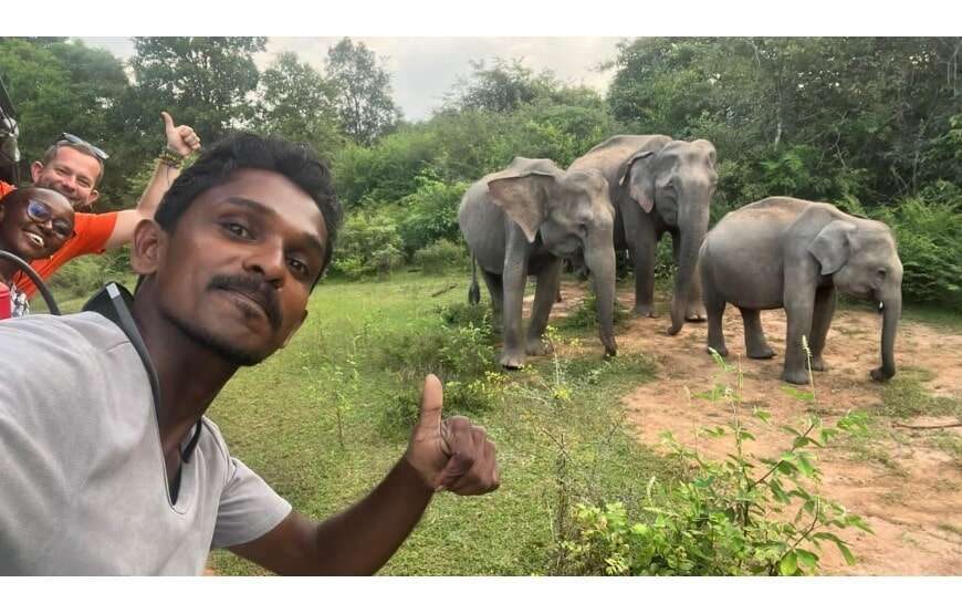 Amazing Safari (Chill House Safari Resort)