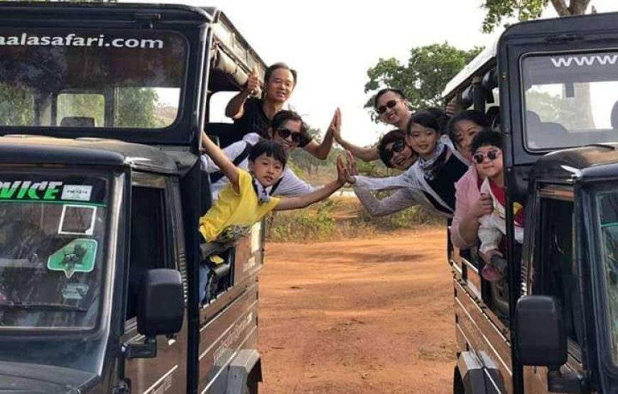 Yala Safari – Private Tour