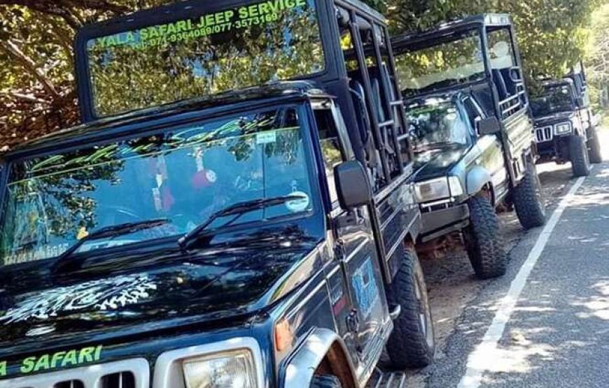 Yala Safari – Private Tour